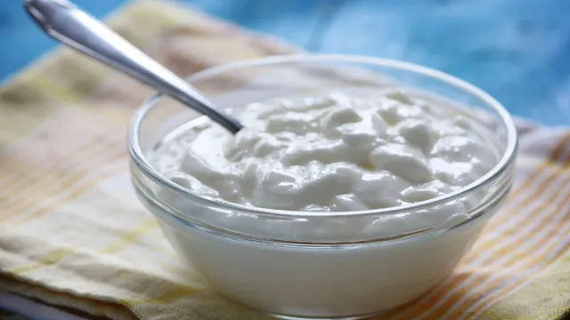 curd-with-sugar-vs-curd-with-salt-which-is-more-healthier